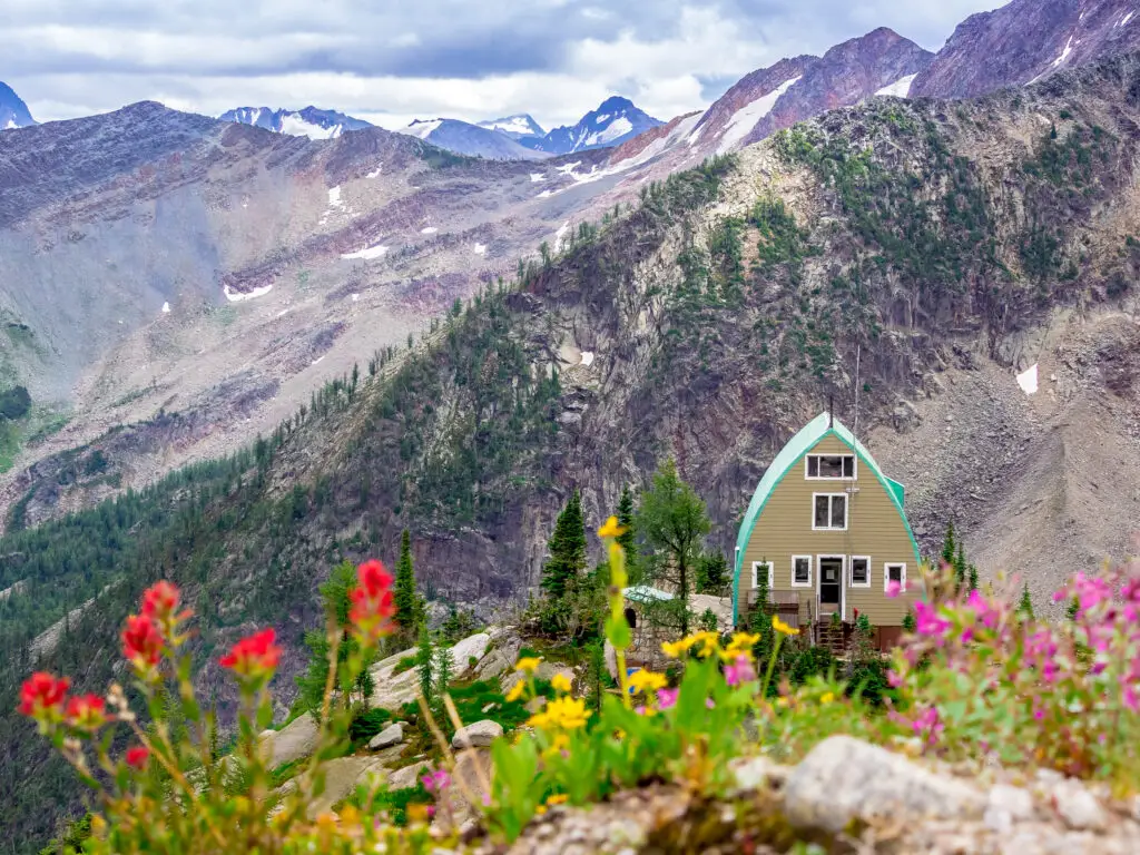 Alpine Flowers Conrad Kain Hut