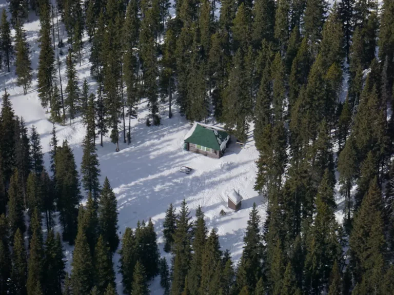 Cameron Lake Cabin Aerial View