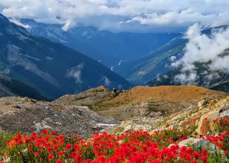 asulkan-hut-2(TamasinLangton)