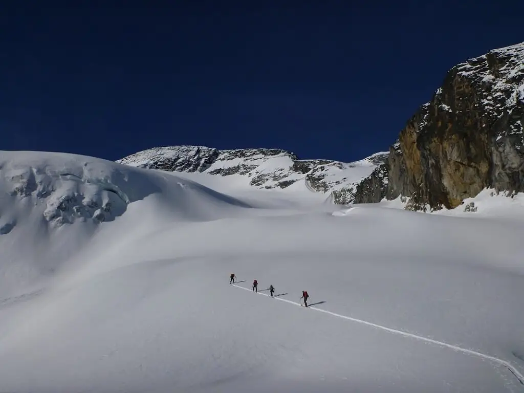 Rogers pass backcountry skiing