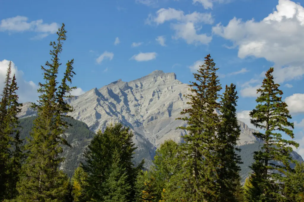 Nice view of Mount Norquay from Banff, surrounded by trees, on a clear day.