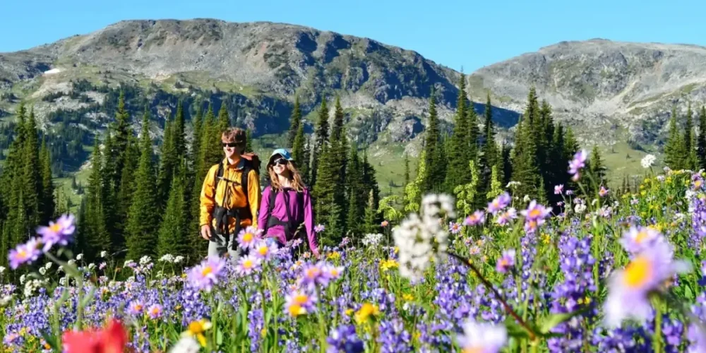 Screenshot 2025-10-07 160435 Screenshot 2025-10-07 160435